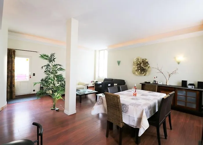 Spacious Flat With Ac & 33m² Terrace In Appartement