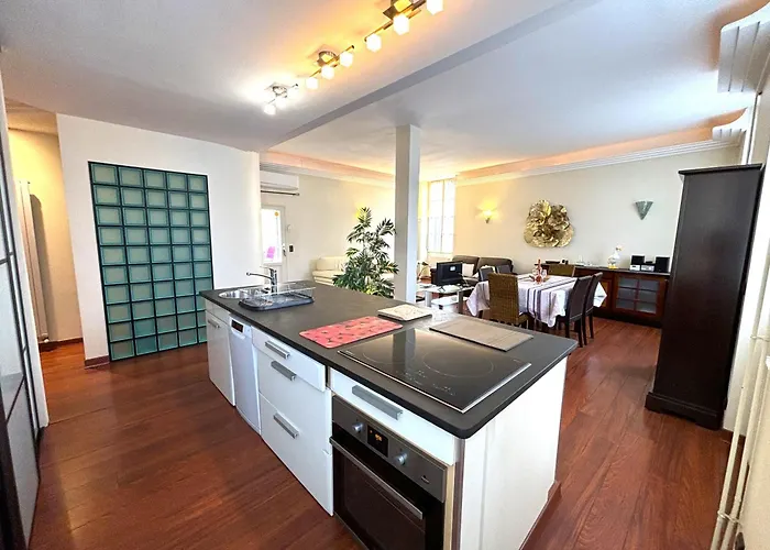 Spacious Flat With Ac & 33m² Terrace In * Sarlat